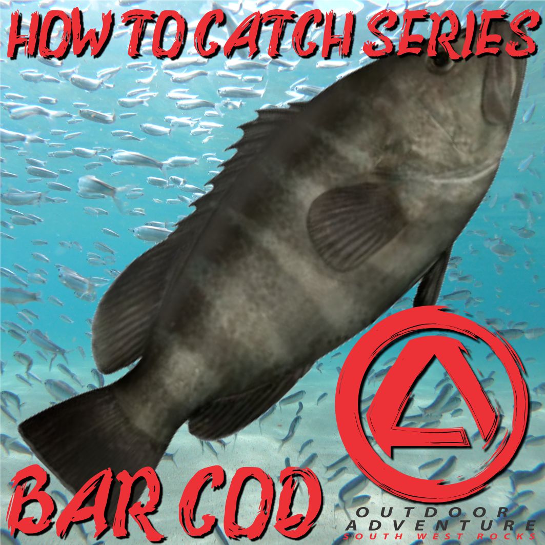 How To Catch Series - Bar Cod
