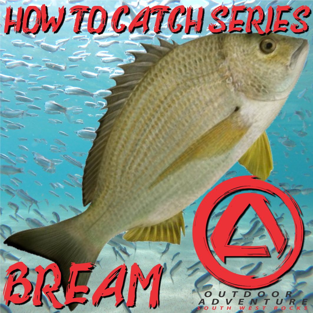 How To Catch Series - Bream