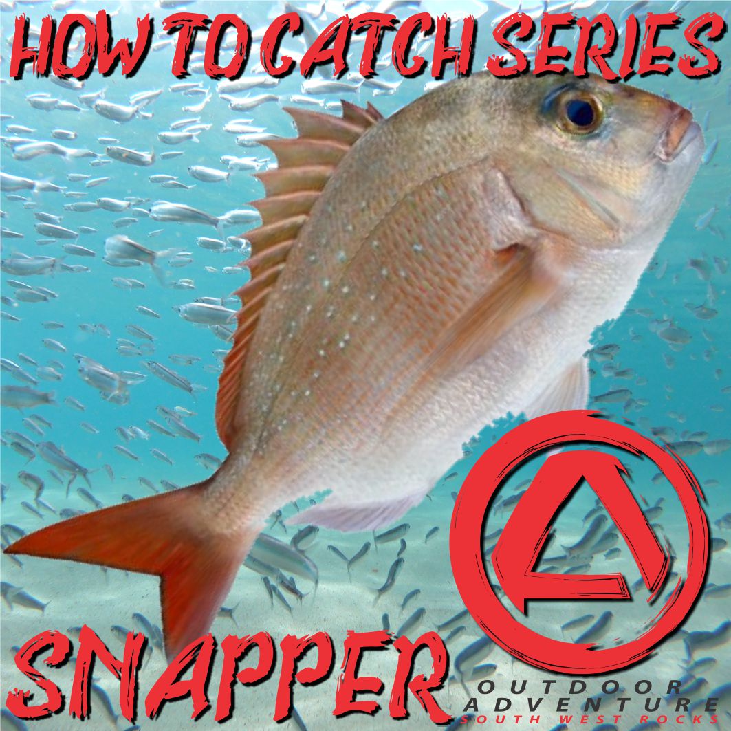 How To Catch Series - Snapper