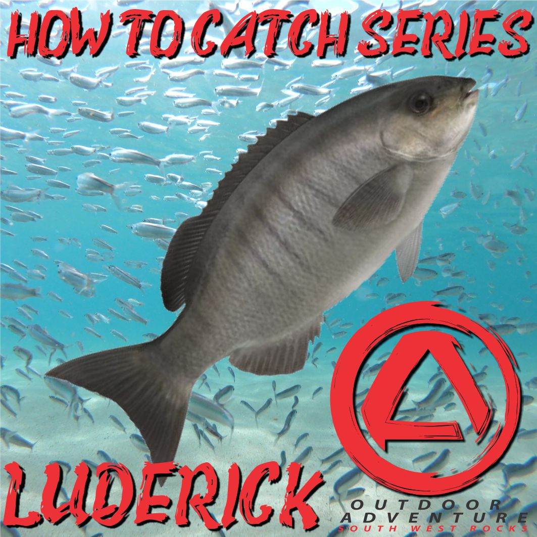 How To Catch Series - Luderick