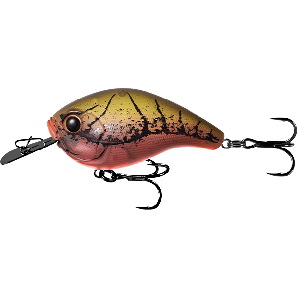 13 Fishing Jabber Jaw