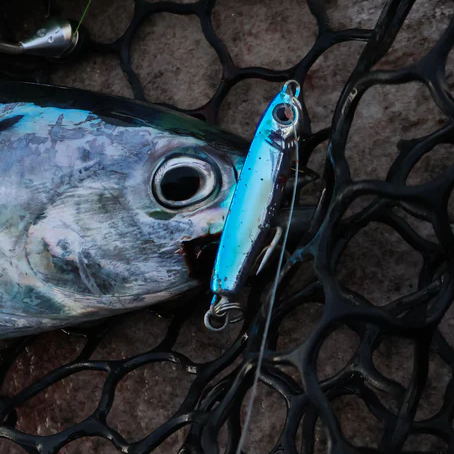 TT Hard Core + Metals