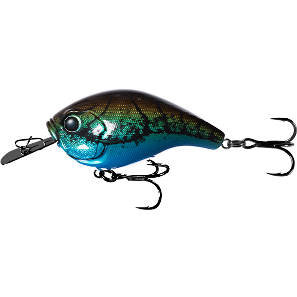 13 Fishing Jabber Jaw