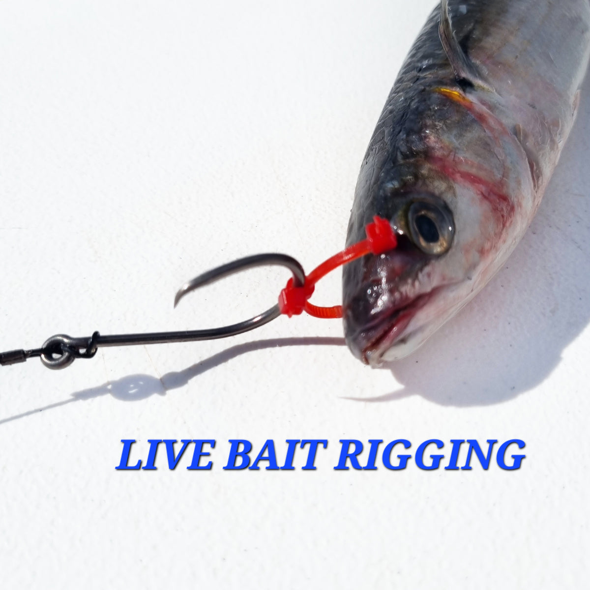 MNC Fishing Wire Drone Trace - 1pk