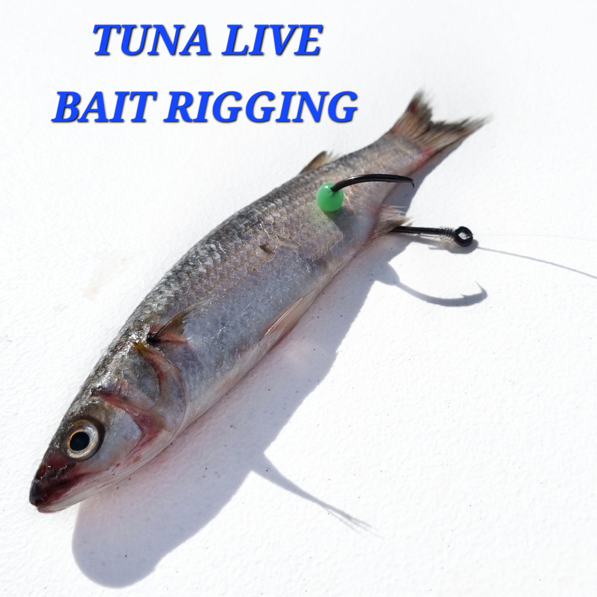 MNC Fishing Tuna Drone Trace - 1pk