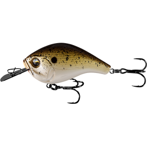 13 Fishing Jabber Jaw