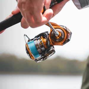 Daiwa TD Sol MQ