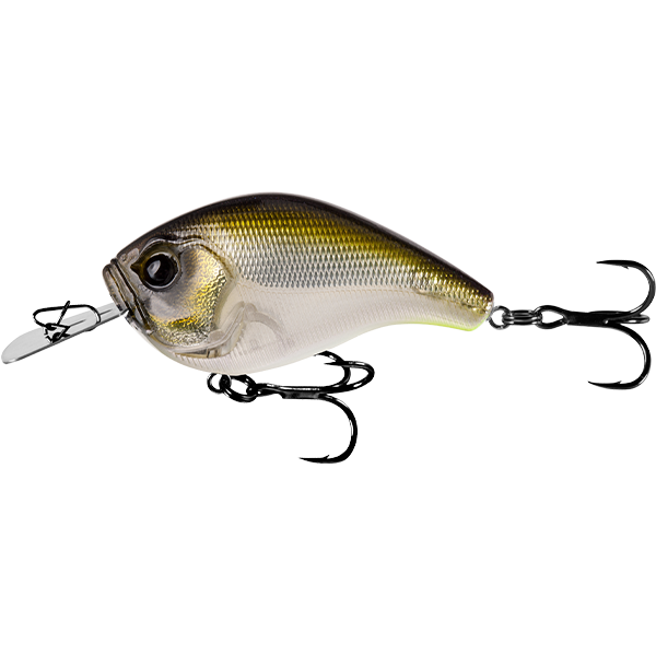 13 Fishing Jabber Jaw