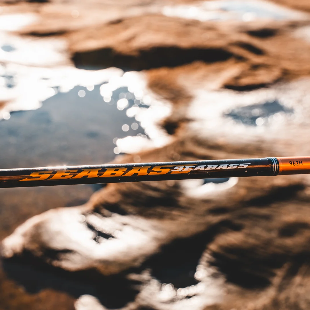 Daiwa 23 Seabass Rod