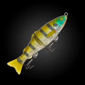 Fishcraft Dr Glide Lure