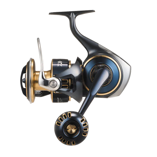 Daiwa 25 Saltiga Reel