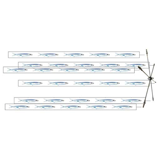 AFN 12'' Laser Fish Strip Dredge