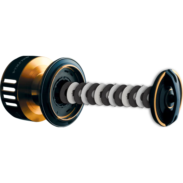 Daiwa 25 Saltiga Reel