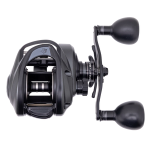 Abu Garcia Beast Low Profile