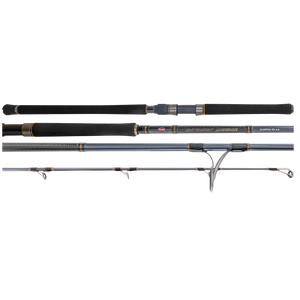 Penn Battalion Inshore Rod