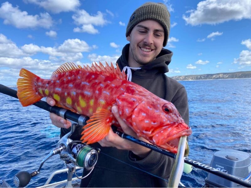 Ocean's Legacy Cloud 9