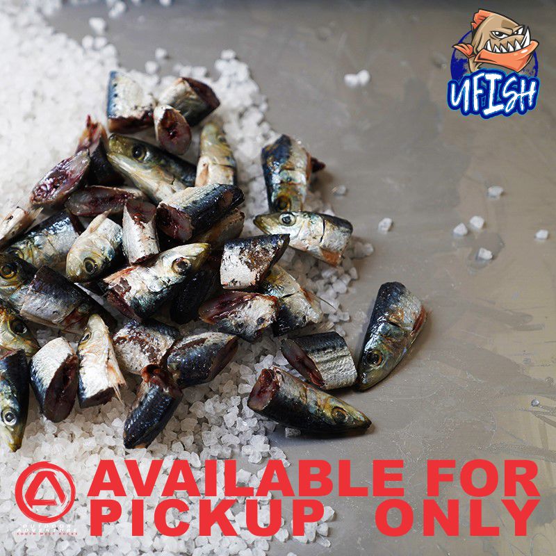 UFISH PREMIUM QUALITY BAIT