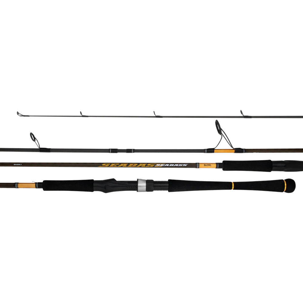 Daiwa 23 Seabass Rod