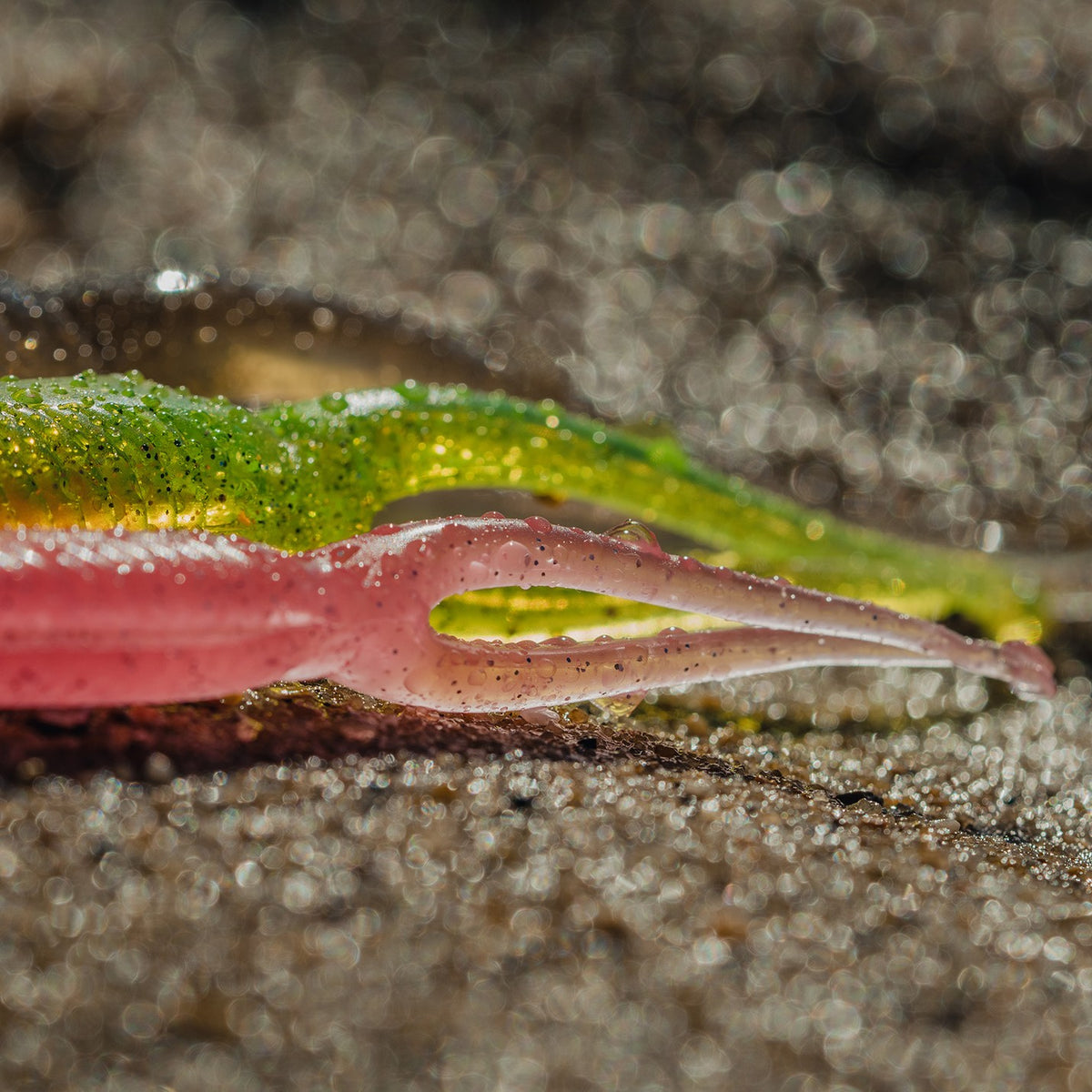 Nomad Live Ops Double Down 5"