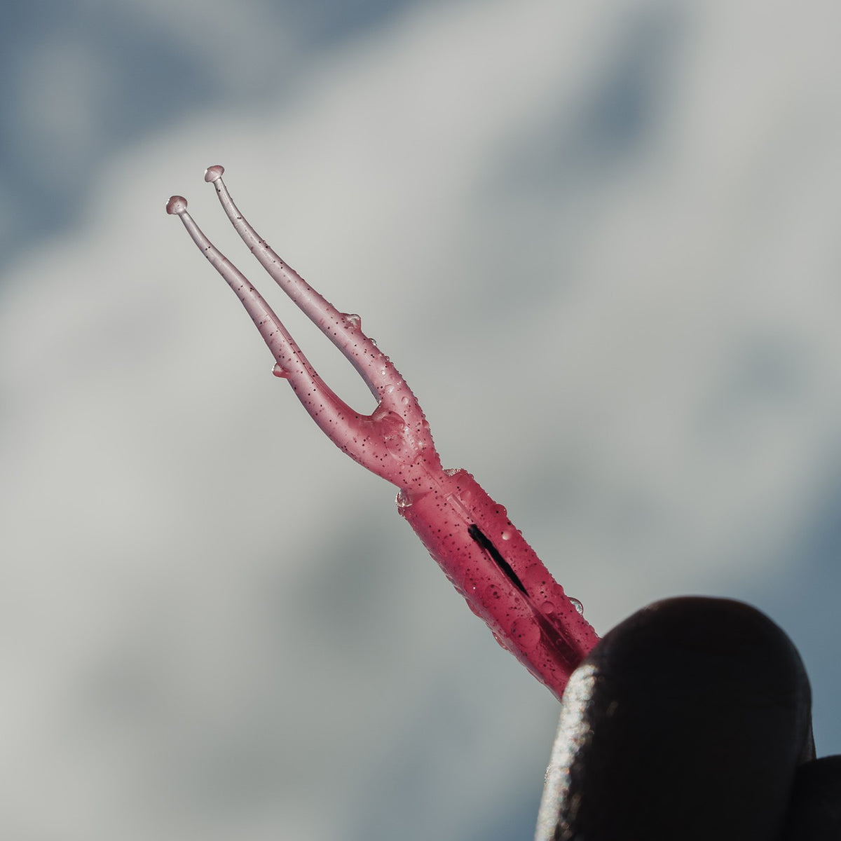 Nomad Live Ops Double Down 7"