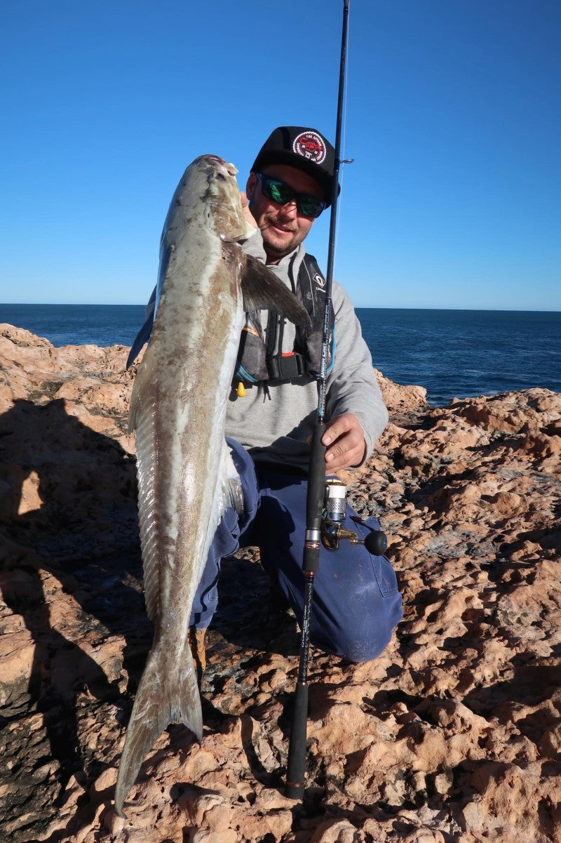 Ocean's Legacy Dream Cast