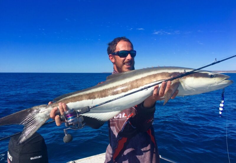 Ocean's Legacy Slow Element