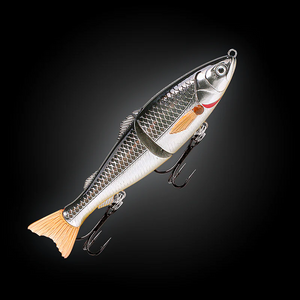 Fishcraft Dr Glide Lure