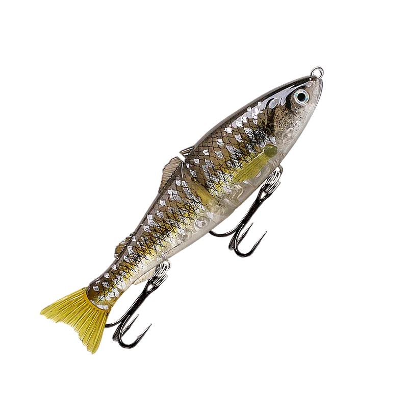 Fishcraft Dr Glide Lure
