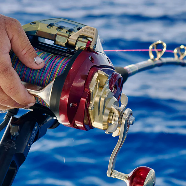 Daiwa 24 Seaborg G Electric Reel