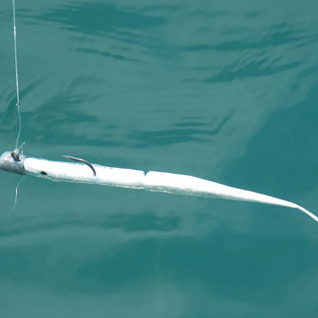 Daiwa Bait Junkie 6.5" Gar