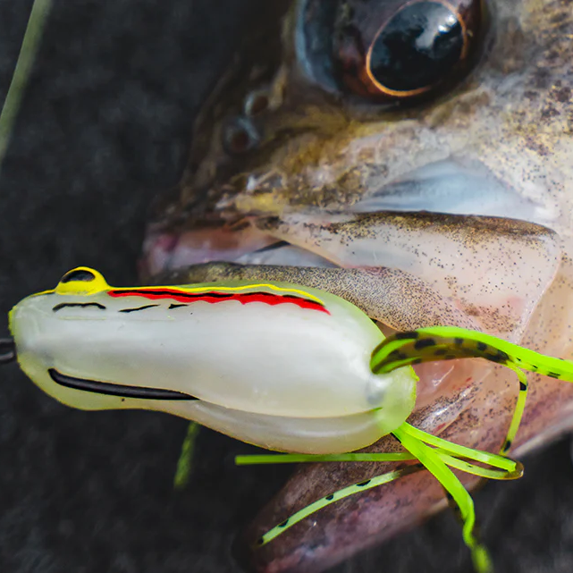 Daiwa Bait Junkie Kicker Walker