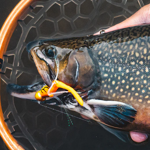 Daiwa Drown Dragonfly