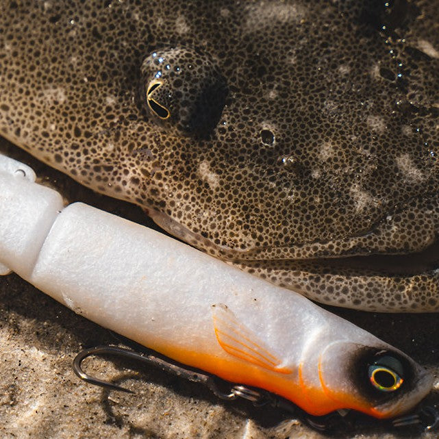 Daiwa Bait Junkie Mega Minnow