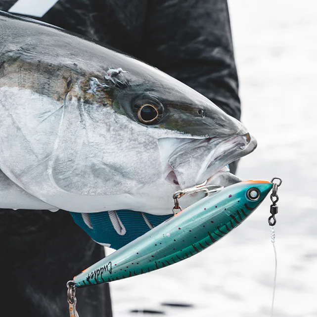 Daiwa Saltiga Cuddler