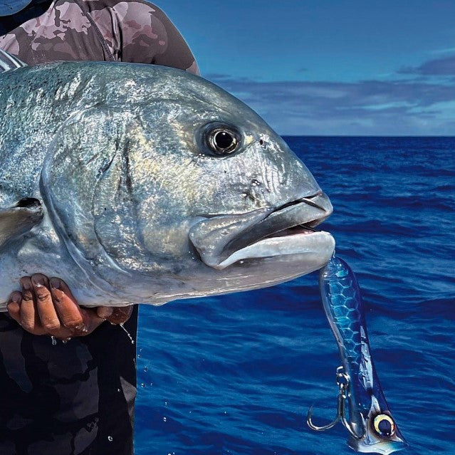 Ocean's Legacy Keeling Pop 140