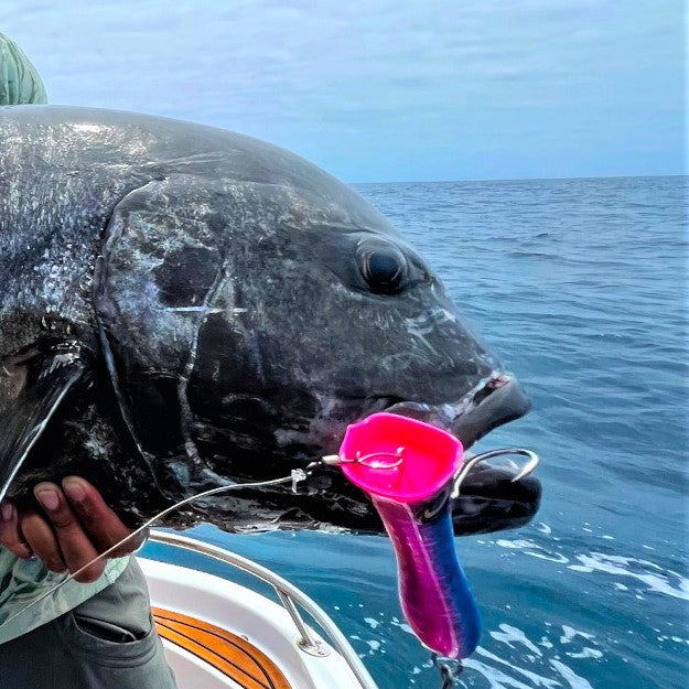 Ocean's Legacy Keeling Pop 140