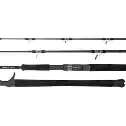 Daiwa 25 Leobritz DG Rod