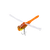 Daiwa Drown Dragonfly