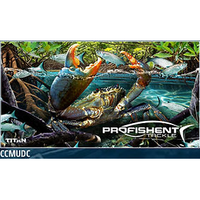 Profishent Tackle Can Cooler