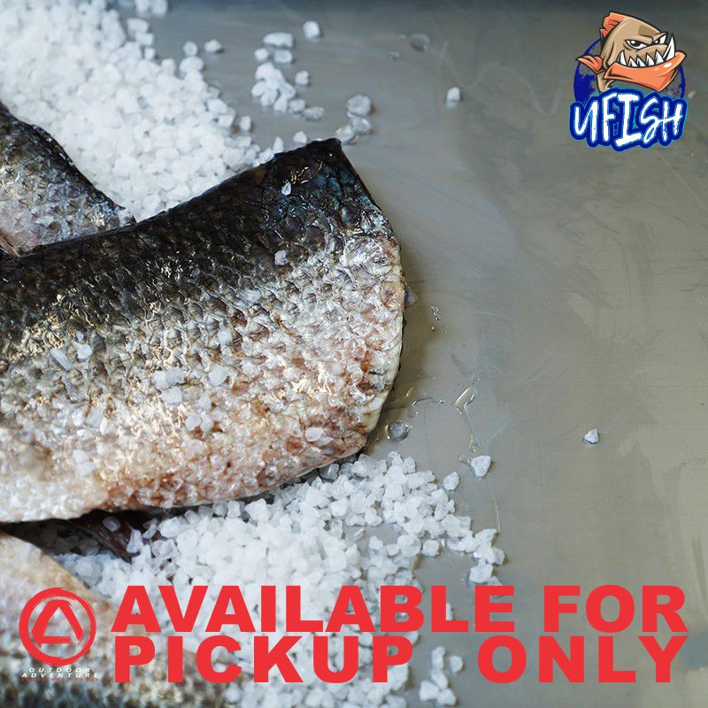 UFISH PREMIUM QUALITY BAIT