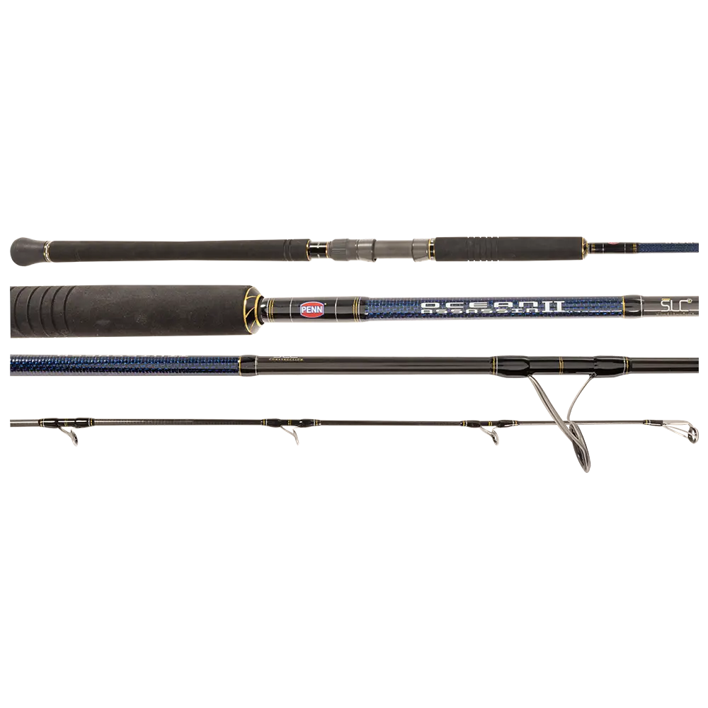 Penn Ocean Assassin 2 Spin Rod