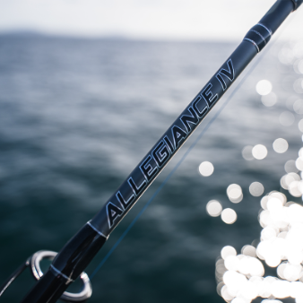 Penn Allegiance IV Offshore Rod