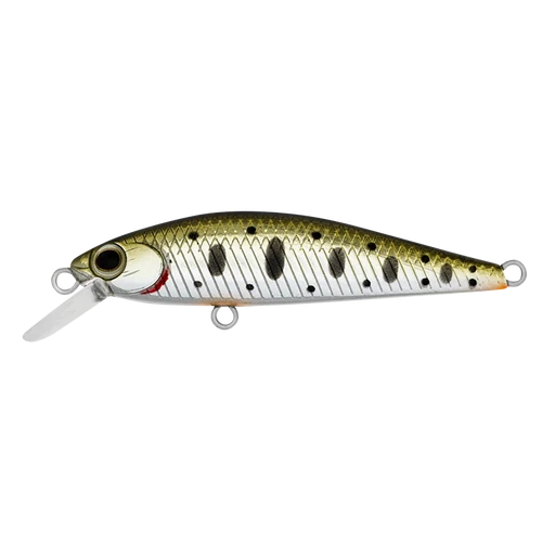 Daiwa Silvercreek DR Minnow Jointed 50s