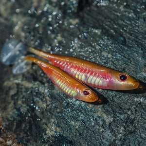 Nomad Live Ops Spectre Minnow 5" Mirage X