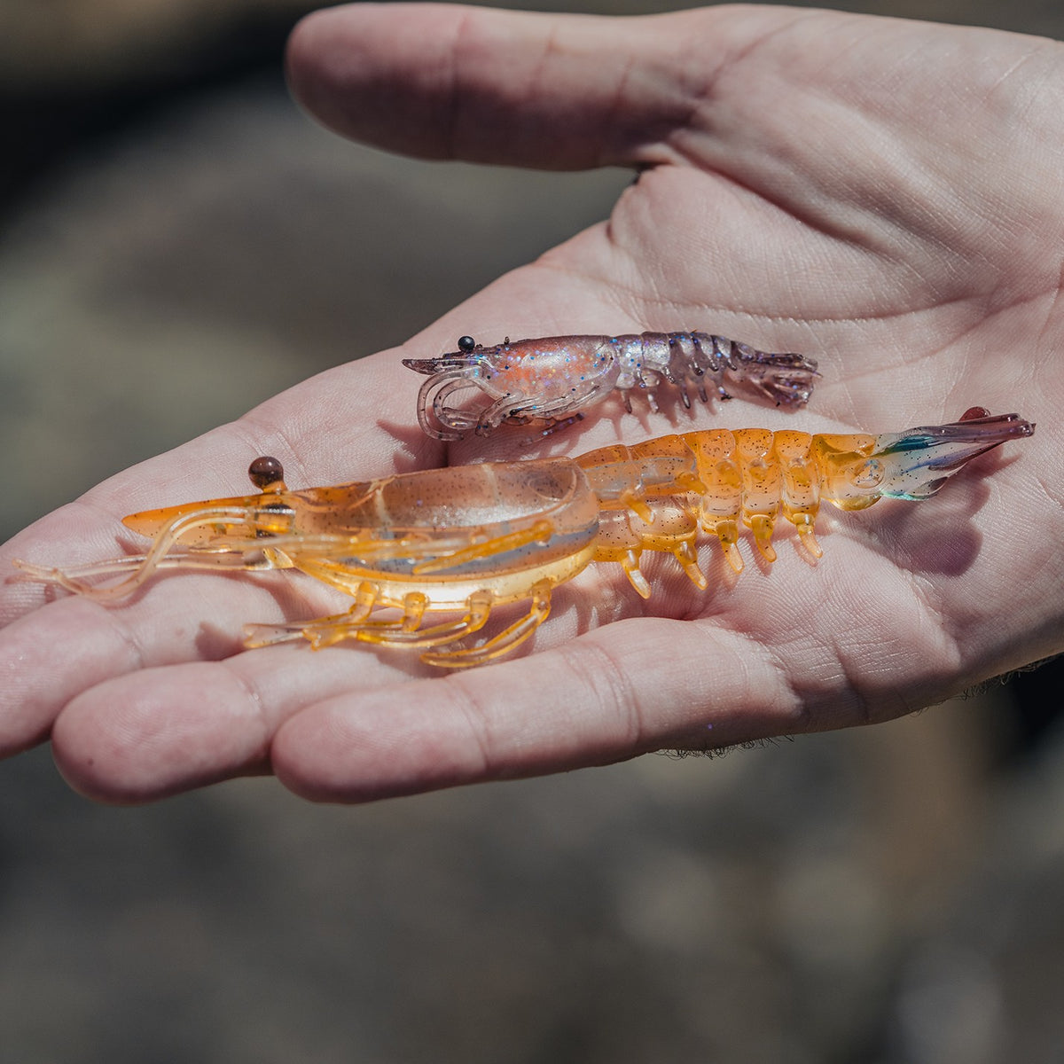 Nomad Live Ops Switcher Shrimp 2.3"