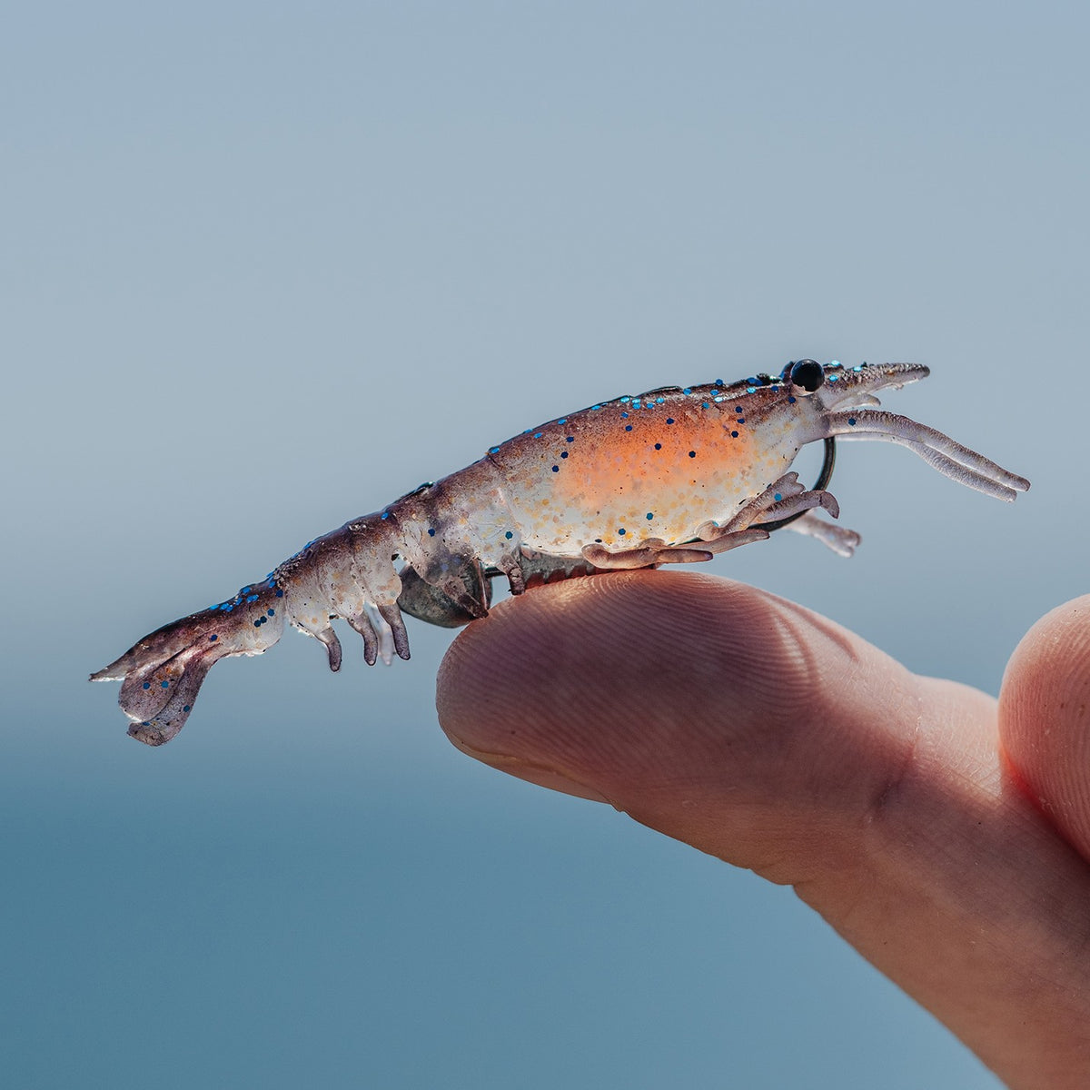 Nomad Live Ops Switcher Shrimp 2.3"