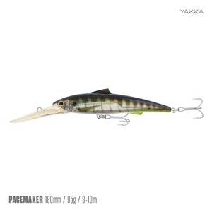 Samaki Pacemaker 180 Lure