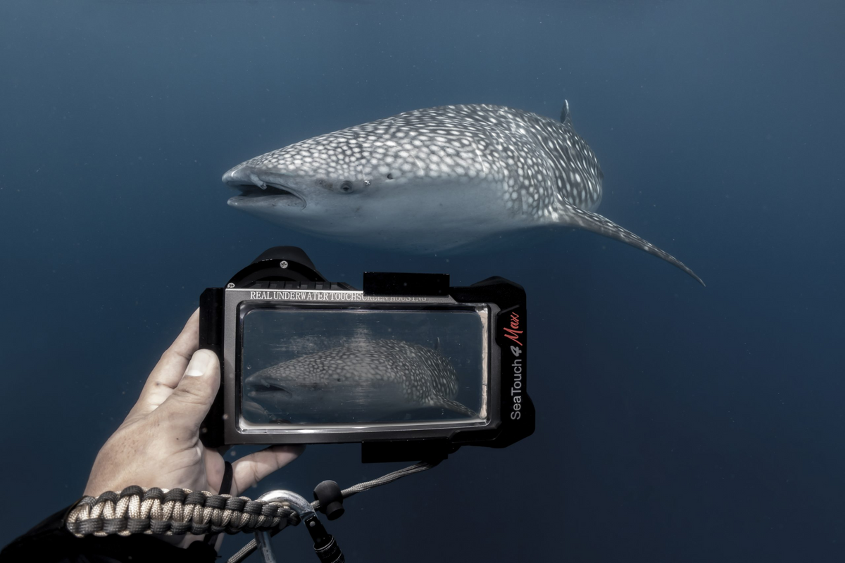 DiveVolk SeaTouch 4 Max Plus