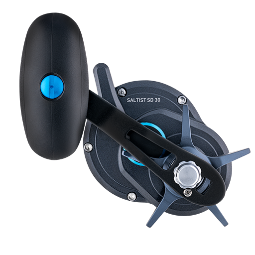 Daiwa 25 Saltist SD Reel