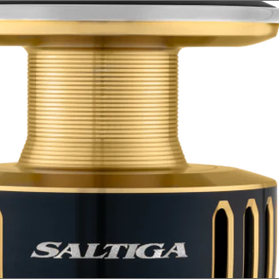 Daiwa 25 Saltiga Reel